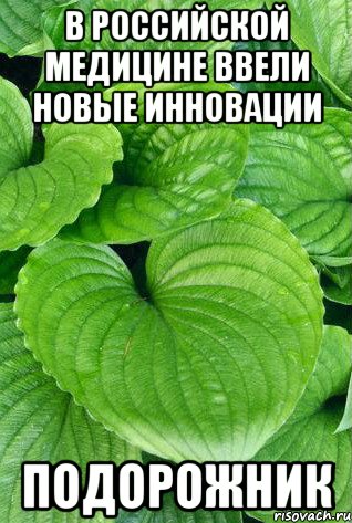 в российской медицине ввели новые инновации ПОДОРОЖНИК