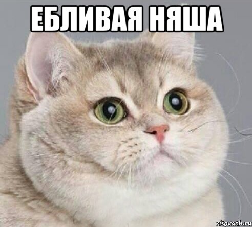 ебливая няша , Мем Подслушаногей