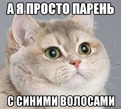 а я просто парень с синими волосами, Мем Подслушаногей