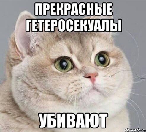 прекрасные гетеросекуалы убивают
