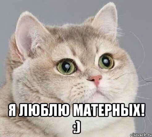  Я люблю матерных! :)