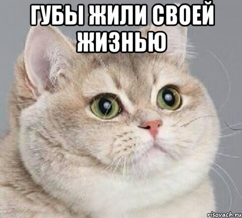 губы жили своей жизнью 