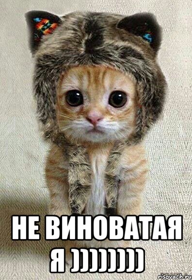 Открытки я не виновата 21
