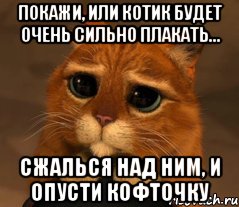 покажи, или котик будет очень сильно плакать... сжалься над ним, и опусти кофточку, Мем Кот из Шрека