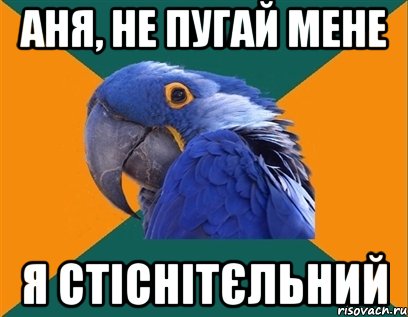 АНЯ, НЕ ПУГАЙ МЕНЕ Я СТІСНІТЄЛЬНИЙ, Мем Попугай параноик