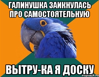 Галинушка заикнулась про самостоятельную Вытру-ка я доску, Мем Попугай параноик