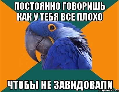 Постоянно говоришь как у тебя все плохо чтобы не завидовали, Мем Попугай параноик