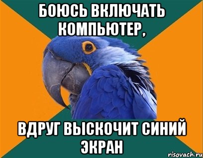 боюсь включать компьютер, вдруг выскочит синий экран, Мем Попугай параноик