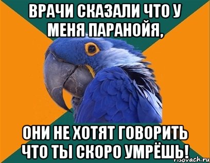 ВРАЧИ СКАЗАЛИ ЧТО У МЕНЯ ПАРАНОЙЯ, ОНИ НЕ ХОТЯТ ГОВОРИТЬ ЧТО ТЫ СКОРО УМРЁШЬ!, Мем Попугай параноик