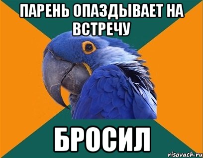 парень опаздывает на встречу БРОСИЛ, Мем Попугай параноик