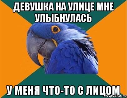 девушка на улице мне улыбнулась у меня что-то с лицом, Мем Попугай параноик