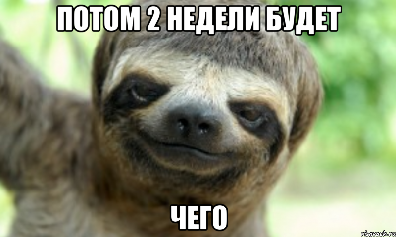 ПОТОМ 2 НЕДЕЛИ БУДЕТ ЧЕГО
