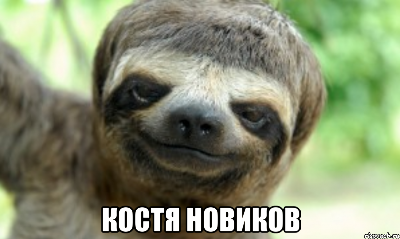  костя новиков