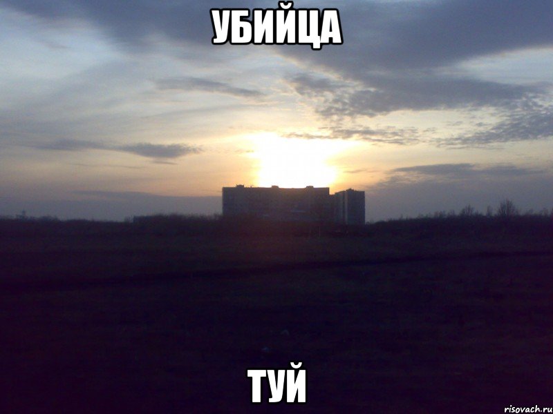 убийца туй, Мем простоквашино