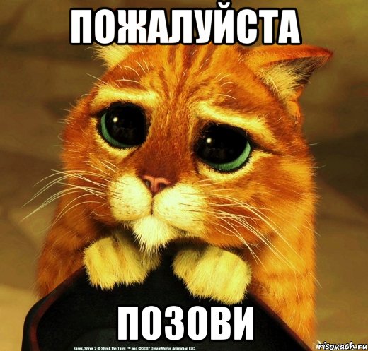ПОЖАЛУЙСТА ПОЗОВИ