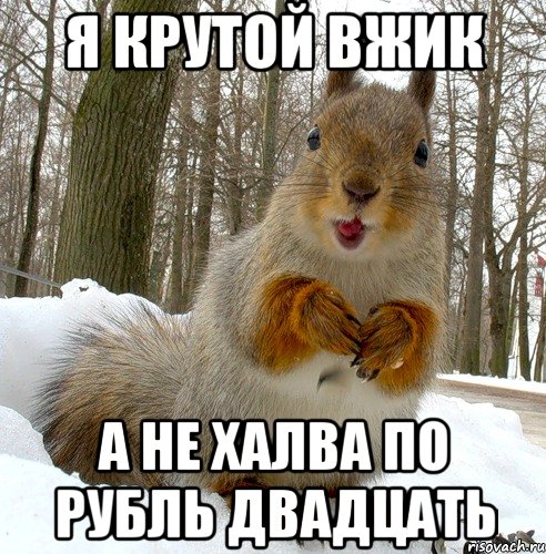 Я крутой вжик А не халва по рубль двадцать, Мем Пушистые шубки