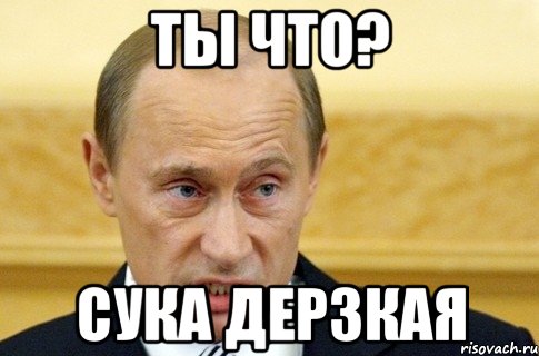 Ты что? Сука дерзкая, Мем путин