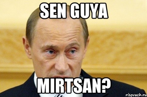 Sen guya Mirtsan?, Мем путин