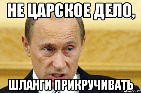 не царское дело, шланги прикручивать, Мем путин