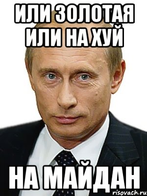 или золотая или на хуй на майдан, Мем Путин