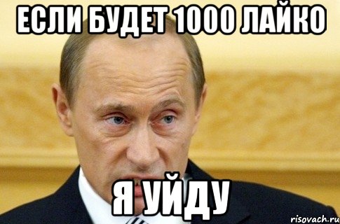 если будет 1000 лайко я уйду, Мем путин