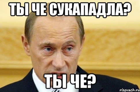 ты че сукападла? ты че?, Мем путин