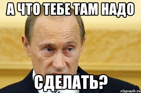 а что тебе там надо сделать?, Мем путин