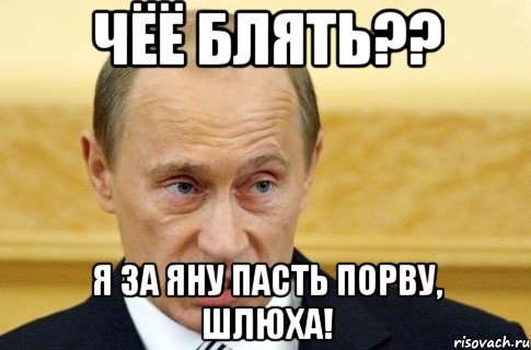 чёё блять?? я за Яну пасть порву, шлюха!, Мем путин