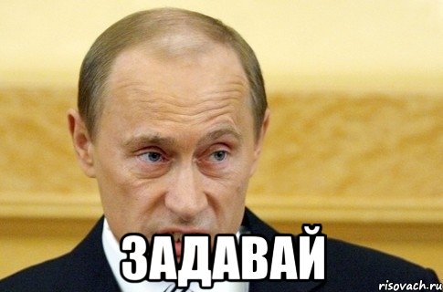  задавай, Мем путин