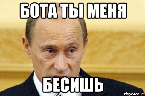 БОТА ТЫ МЕНЯ БЕСИШЬ, Мем путин