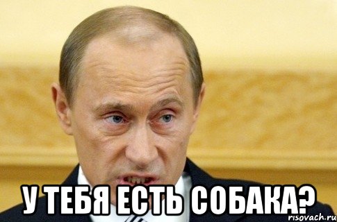  у тебя есть собака?, Мем путин