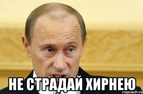  не страдай хирнею, Мем путин