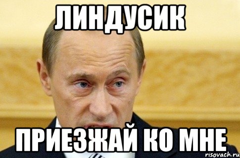 Линдусик Приезжай ко мне, Мем путин