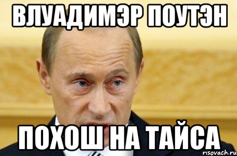 Влуадимэр Поутэн Похош на Тайса, Мем путин