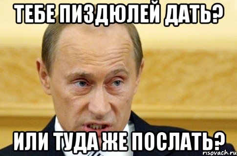 Тебе пиздюлей дать? ИЛИ ТУДА ЖЕ ПОСЛАТЬ?, Мем путин