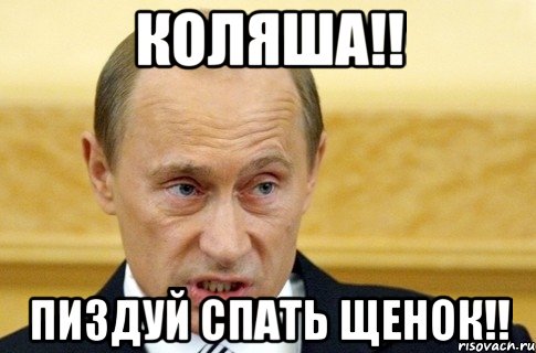 Коляша!! Пиздуй спать щенок!!, Мем путин