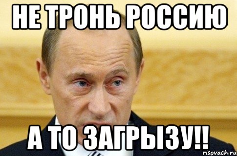 не тронь россию а то загрызу!!, Мем путин