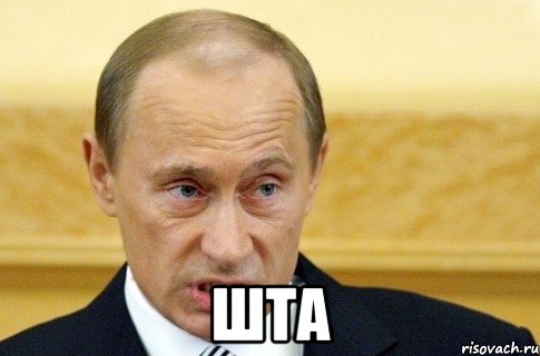  шта, Мем путин