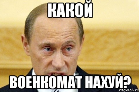 какой военкомат нахуй?, Мем путин