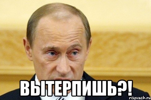  вытерпишь?!, Мем путин