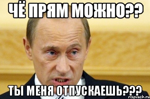 Чё прям можно?? Ты меня отпускаешь???, Мем путин