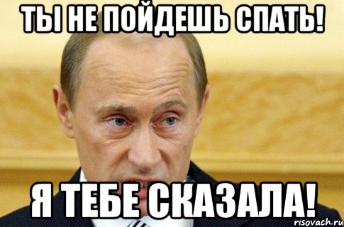 ты не пойдешь спать! я тебе сказала!, Мем путин