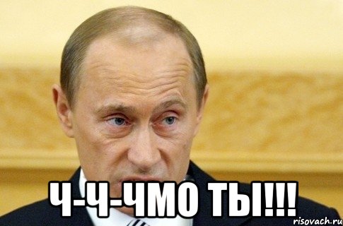  ч-ч-чмо ты!!!, Мем путин