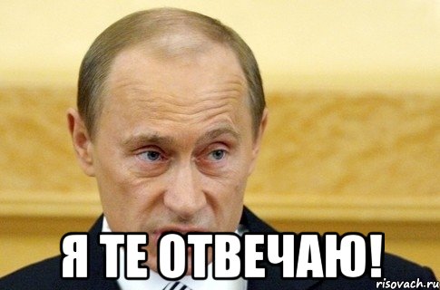  Я те отвечаю!, Мем путин