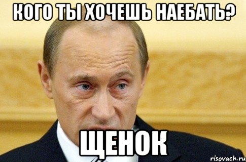 кого ты хочешь наебать? щенок, Мем путин