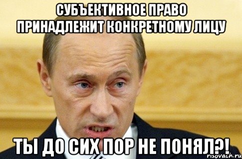 субъективное право принадлежит конкретному лицу ты до сих пор не понял?!, Мем путин