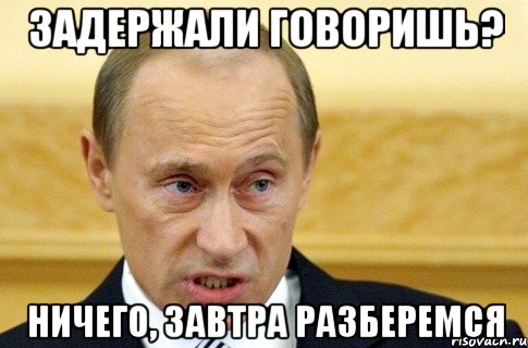 задержали говоришь? ничего, завтра разберемся, Мем путин