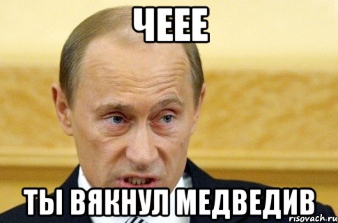 чеее ты вякнул медведив, Мем путин