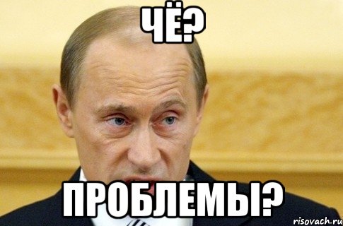 Чё? Проблемы?, Мем путин