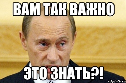 Вам так важно это знать?!, Мем путин